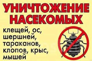 Уничтожение тараканов и клопов, муравьев. Дезинфекция и фумигация Иркутск Город Иркутск